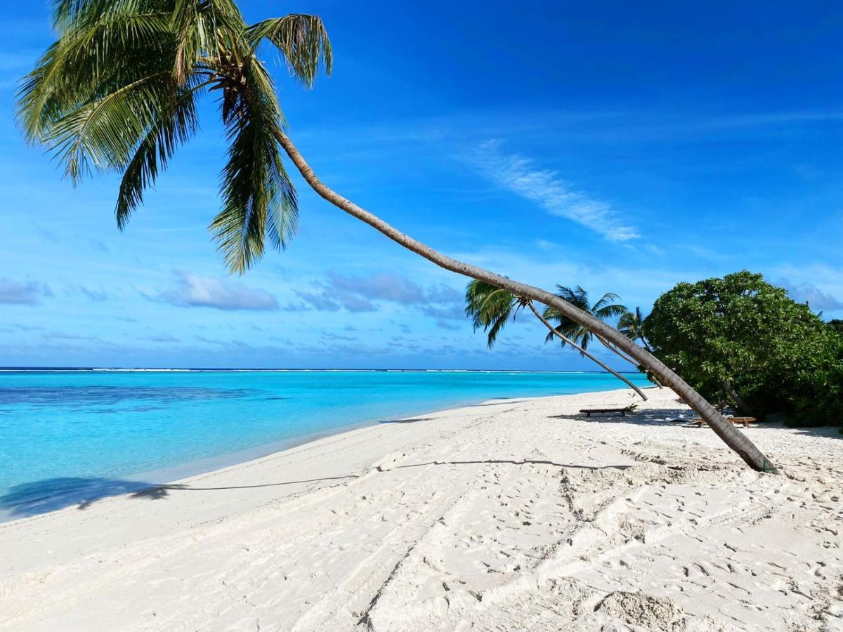 Serene Sky Guest House Thoddoo Exterior foto