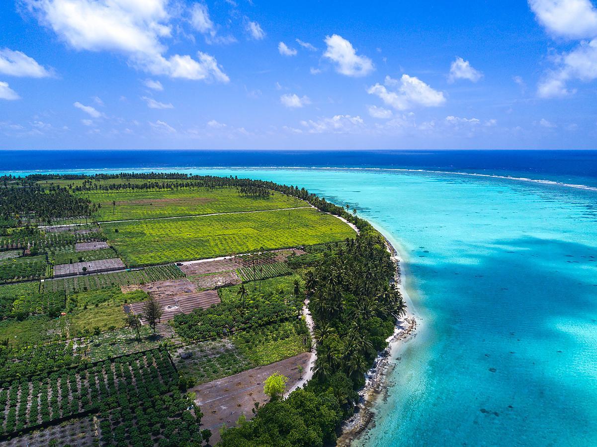Serene Sky Guest House Thoddoo Exterior foto